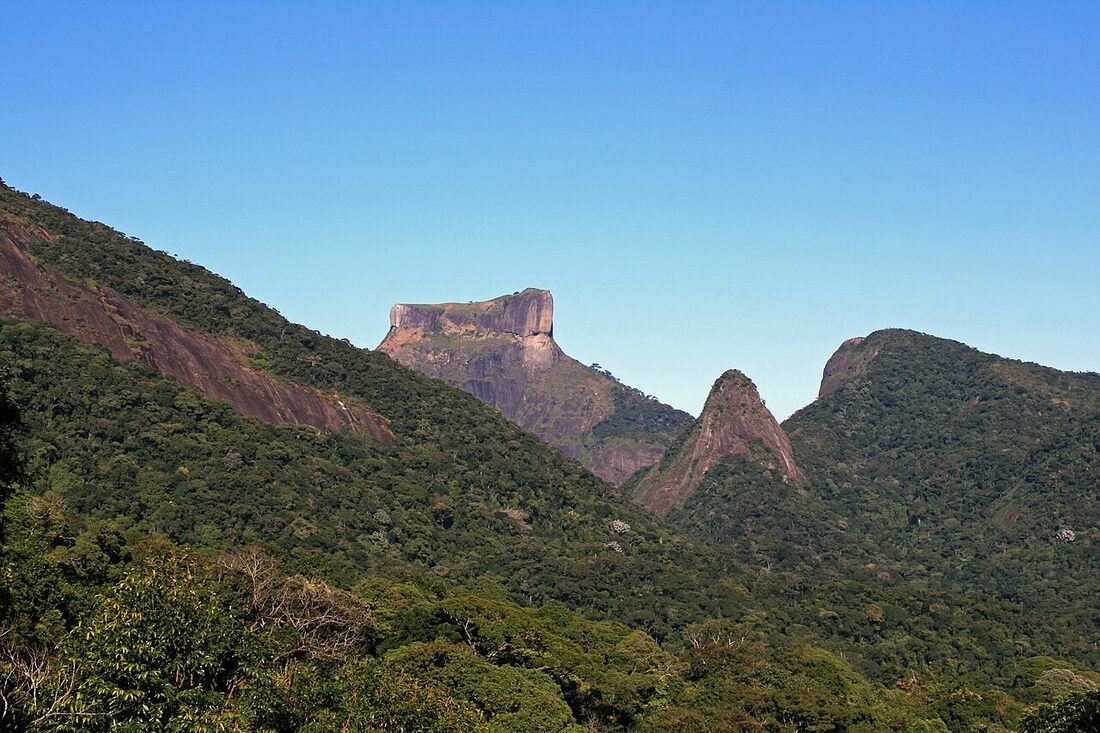 Pico da Tijuca